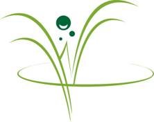 Small Willow Logo